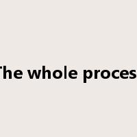 The whole process是什么意思