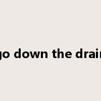 go down the drain是什么意思