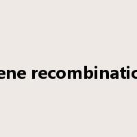 gene recombination是什么意思