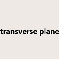 transverse plane是什么意思