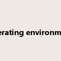 operating environment是什么意思