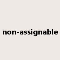 non-assignable是什么意思