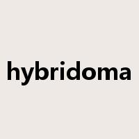hybridoma是什么意思