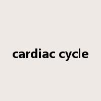cardiac cycle是什么意思