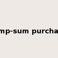 lump-sum purchase是什么意思