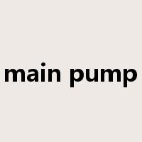 main pump是什么意思