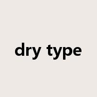 dry type是什么意思