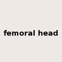 femoral head是什么意思