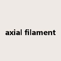 axial filament是什么意思