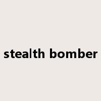 stealth bomber是什么意思