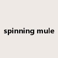 spinning mule是什么意思