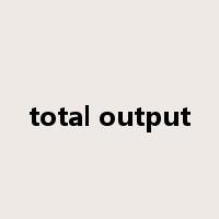 total output是什么意思