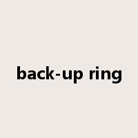 back-up ring是什么意思
