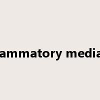 inflammatory mediator是什么意思