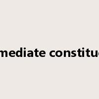 immediate constituent是什么意思