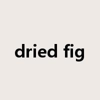 dried fig是什么意思
