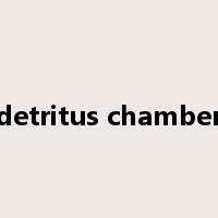 detritus chamber是什么意思