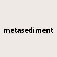 metasediment是什么意思