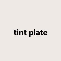 tint plate是什么意思