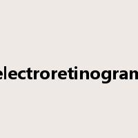 electroretinogram是什么意思