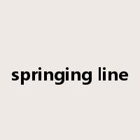 springing line是什么意思