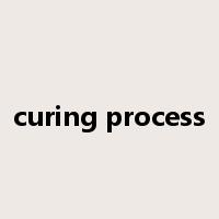 curing process是什么意思