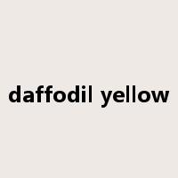 daffodil yellow是什么意思