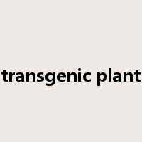 transgenic plant是什么意思