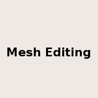 Mesh Editing是什么意思