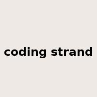 coding strand是什么意思