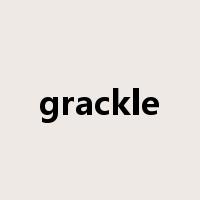 grackle是什么意思