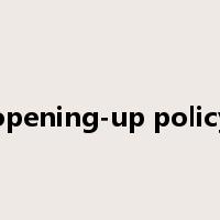 opening-up policy是什么意思