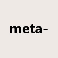 meta-是什么意思