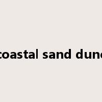 coastal sand dune是什么意思