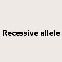 Recessive allele是什么意思