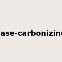case-carbonizing是什么意思