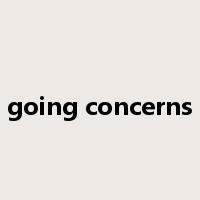 going concerns是什么意思