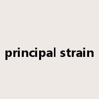principal strain是什么意思