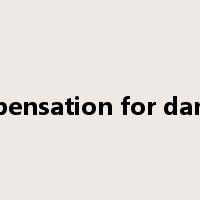 compensation for damage是什么意思