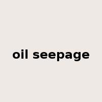 oil seepage是什么意思