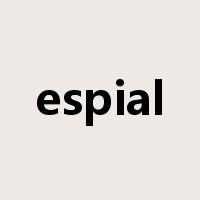 espial是什么意思