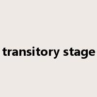 transitory stage是什么意思