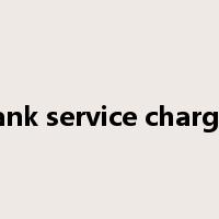 bank service charges是什么意思