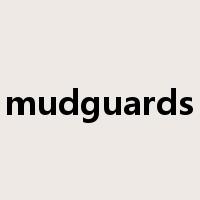 mudguards是什么意思