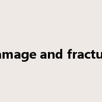 damage and fracture是什么意思