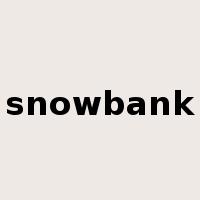 snowbank是什么意思