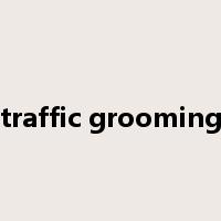 traffic grooming是什么意思