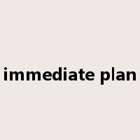 immediate plan是什么意思
