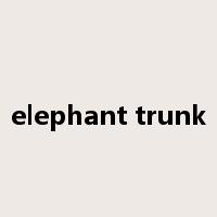 elephant trunk是什么意思