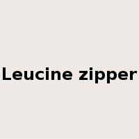 Leucine zipper是什么意思